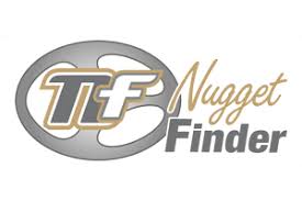 شرکت ناگت فایندر | Nugget Finder
